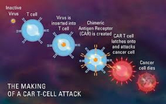 Gene Therapy In Cancer Treatment