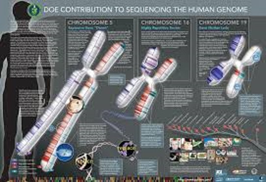 Use Of Genes In Identification Of Criminals