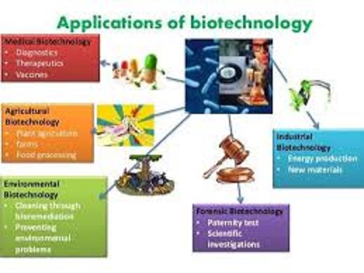 Use Of Biotechnology In Mini Foods