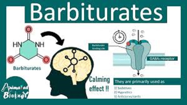 Impacts Of Barbiturates